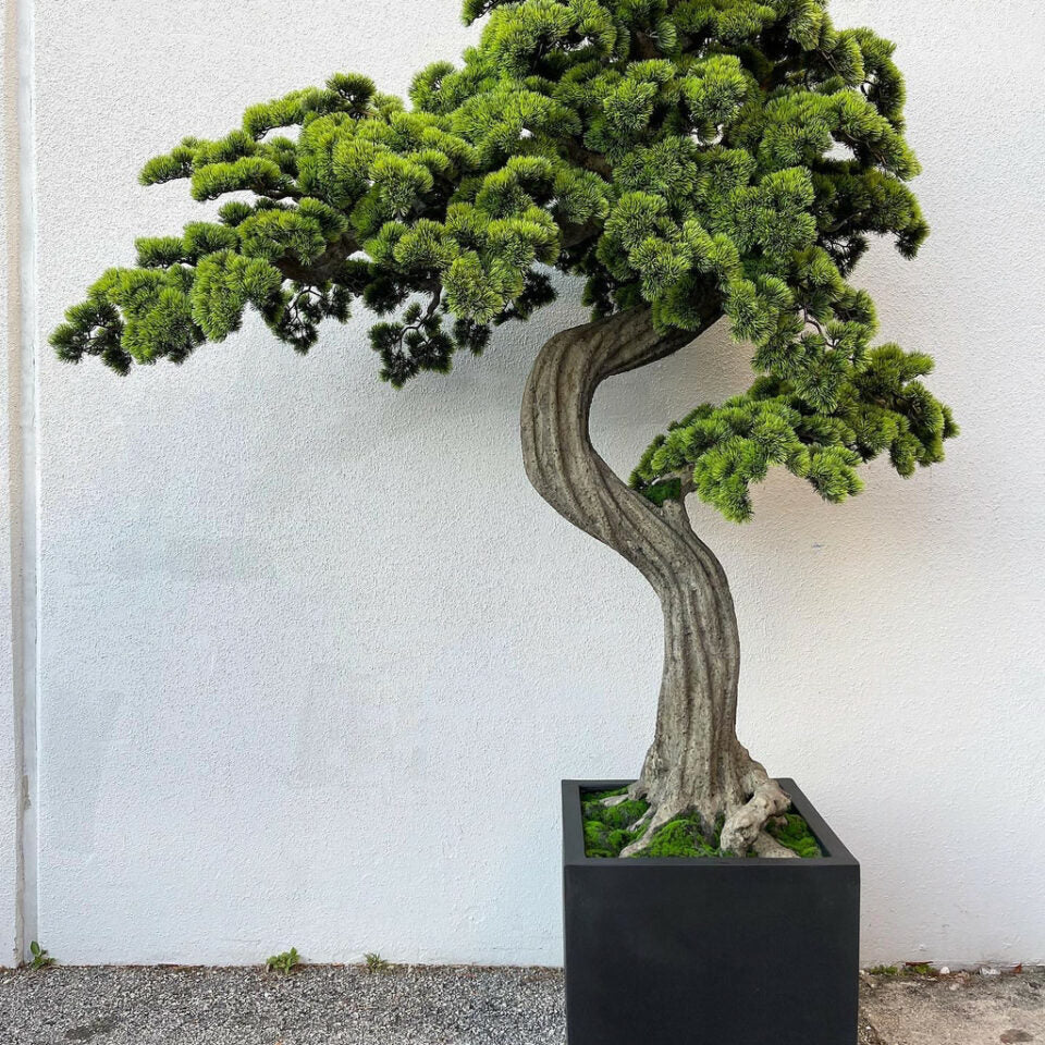 Planter in Sand Beige with Cascading White Orchids