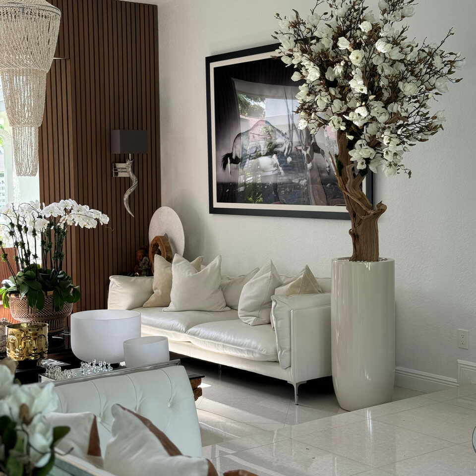 8ft White Magnolia Tree in Glossy Beige St. Tropez Planter