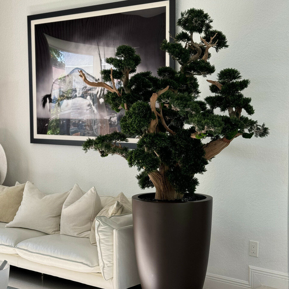 Oversized Bonsai in Matte Brown Brannan Planter