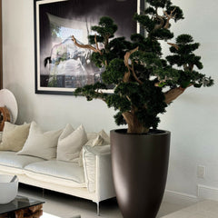 Oversized Bonsai in Matte Brown Brannan Planter