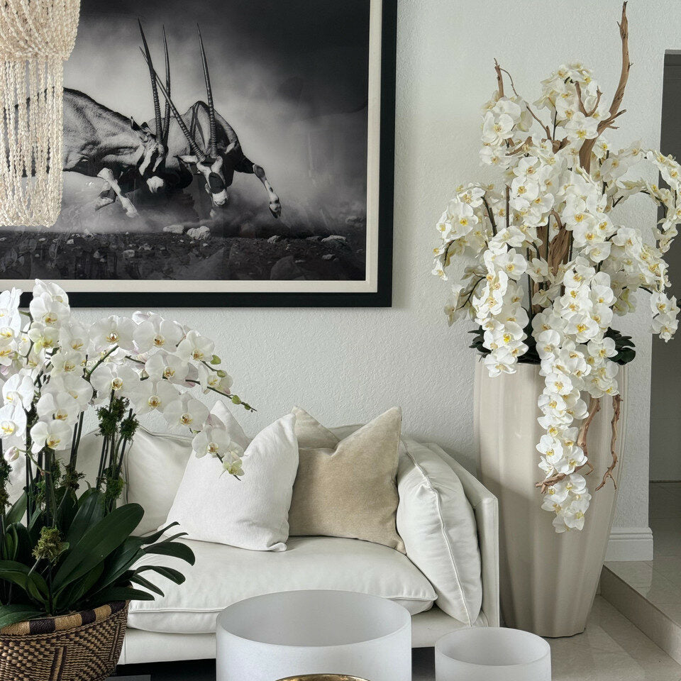 Planter in Sand Beige with Cascading White Orchids