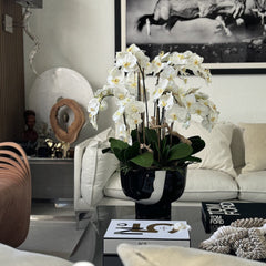 White Orchids in Kempff Bowl