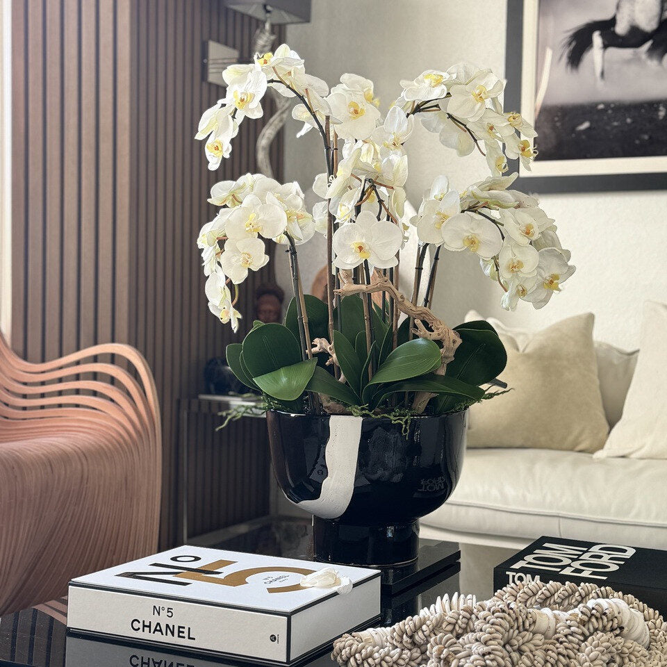 White Orchids in Kempff Bowl