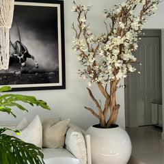 White Magnolia Tree in 30″ Glossy White Globe Planter